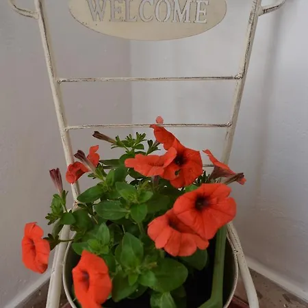 Lili Apartmán